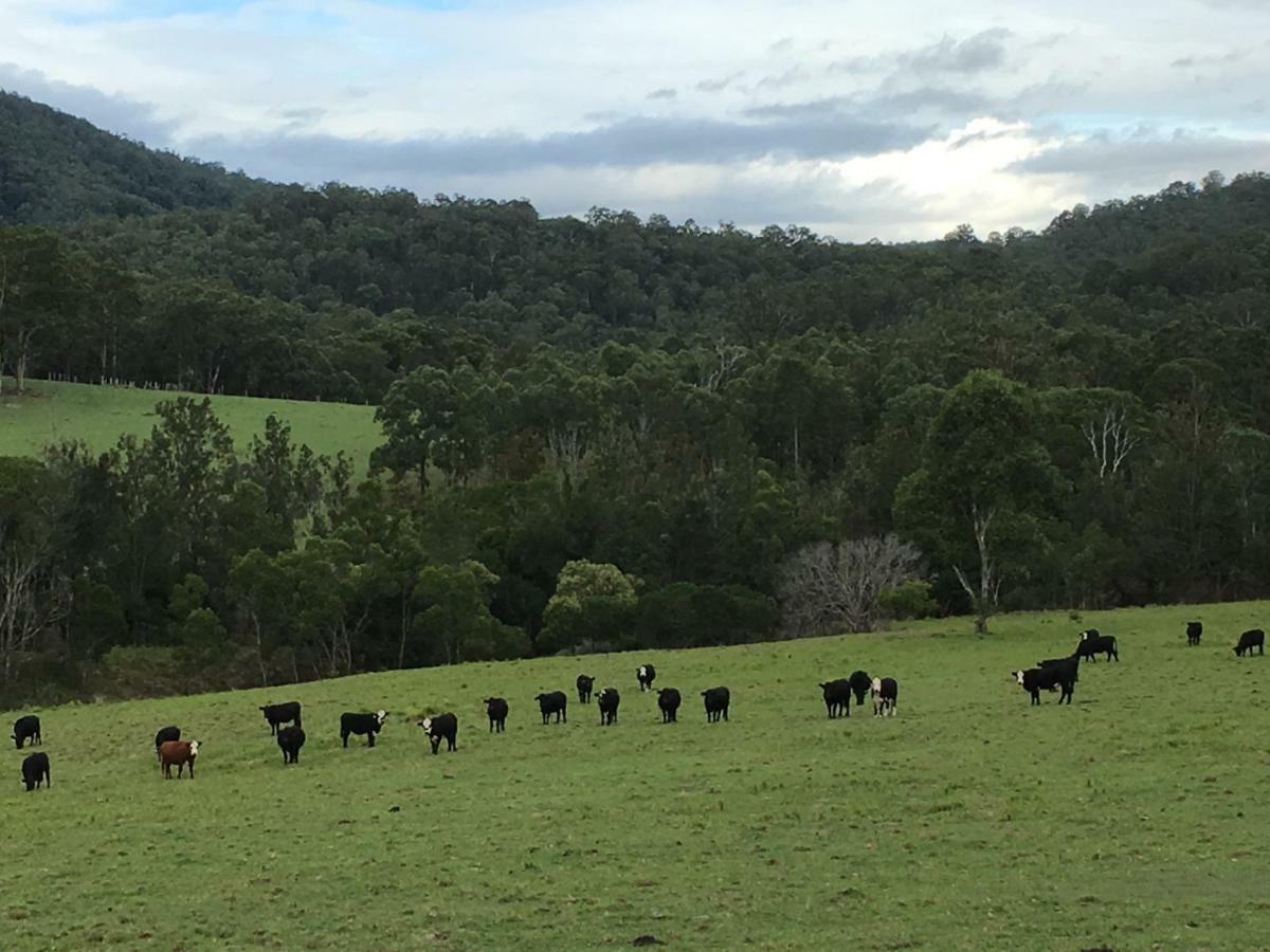 Rural Ambience With Netflix Apartment Mount George ภายนอก รูปภาพ